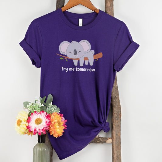 Try Me Tomorrow Lazy Sleeping Koala Unisex Jersey Short Sleeve Tee S-3XL